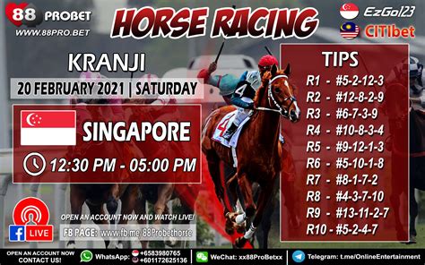 singapore horse racing tips by larry|Horse Racing Tips for Singapore ( 新加坡赛马 ) .